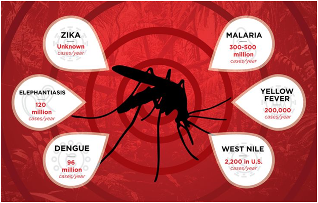 Diseases transferred due to insect bites
